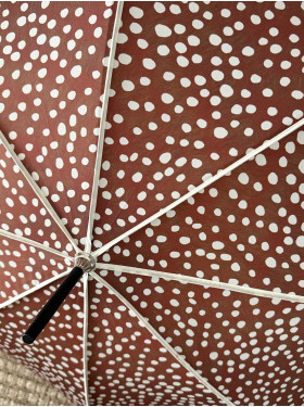 Parapluie « Paon » de la Maison Piganiol à Aurillac   PiG