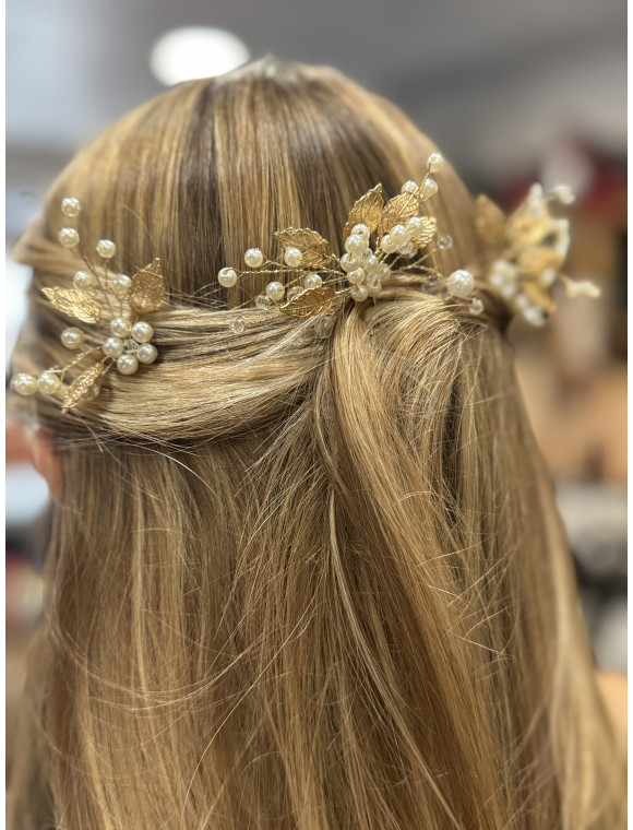 Lot de pique à chignon "Carlotta"